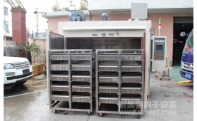 NMT-TC-5017汽车加热器道康宁胶固化落地式双推车烘箱(埃贝赫)